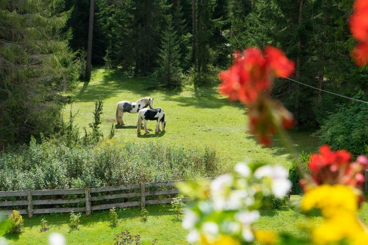 Ferienhaus Tannenblick Leutasch Extérieur photo